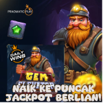 Gem Elevator